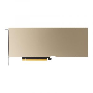 Graphics Card PNY NVIDIA A10 24 GB GDDR6 PCI Express x16 4.0 Passive TCSA10M-PB