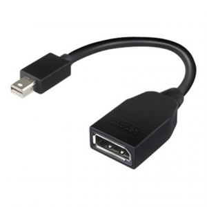 Lenovo Mini-DisplayPort to DisplayPort Adapter Mini-DisplayPort DisplayPort