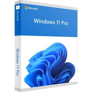 Microsoft Windows 11 Pro FQC-10528 English OEI DSP 64-bit