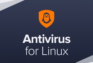 Avast Business Antivirus for Linux, New electronic licence, 3 year, volume 1-4, Price Per Licence Avast Business Antivirus for Linux New electronic licence 3 year(s) License quantity 1-4 user(s)