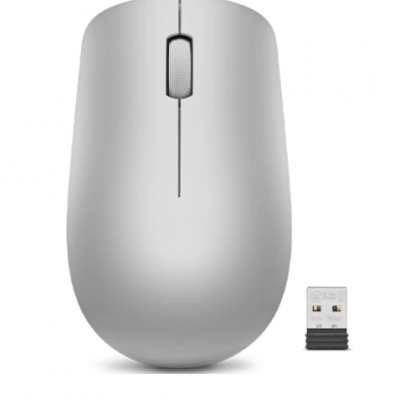 Lenovo Wireless Mouse 530 Optical Mouse 2.4 GHz Wireless via Nano USB Platinum Grey 1 year(s)