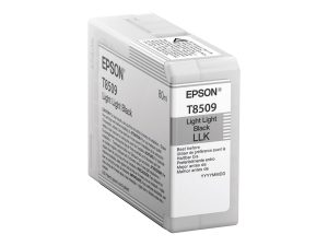 Epson T850900 Ink Cartridge Light Black