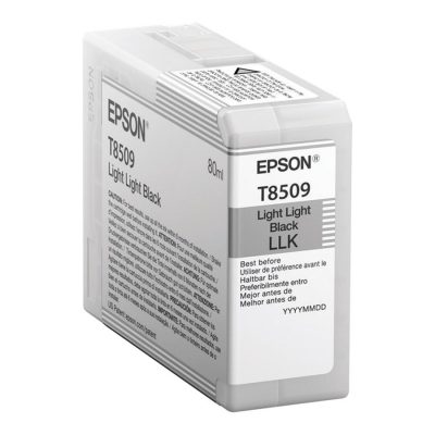 Epson T850900 Ink Cartridge Light Black