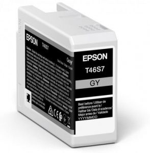Epson UltraChrome Pro 10 ink T46S7 Ink cartrige Grey