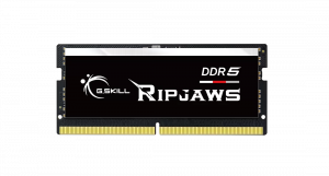 G.Skill Ripjaws 32 GB DDR5 4800 MHz PC/server Registered No ECC No