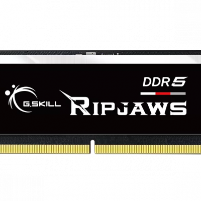 G.Skill Ripjaws 32 GB DDR5 4800 MHz PC/server Registered No ECC No