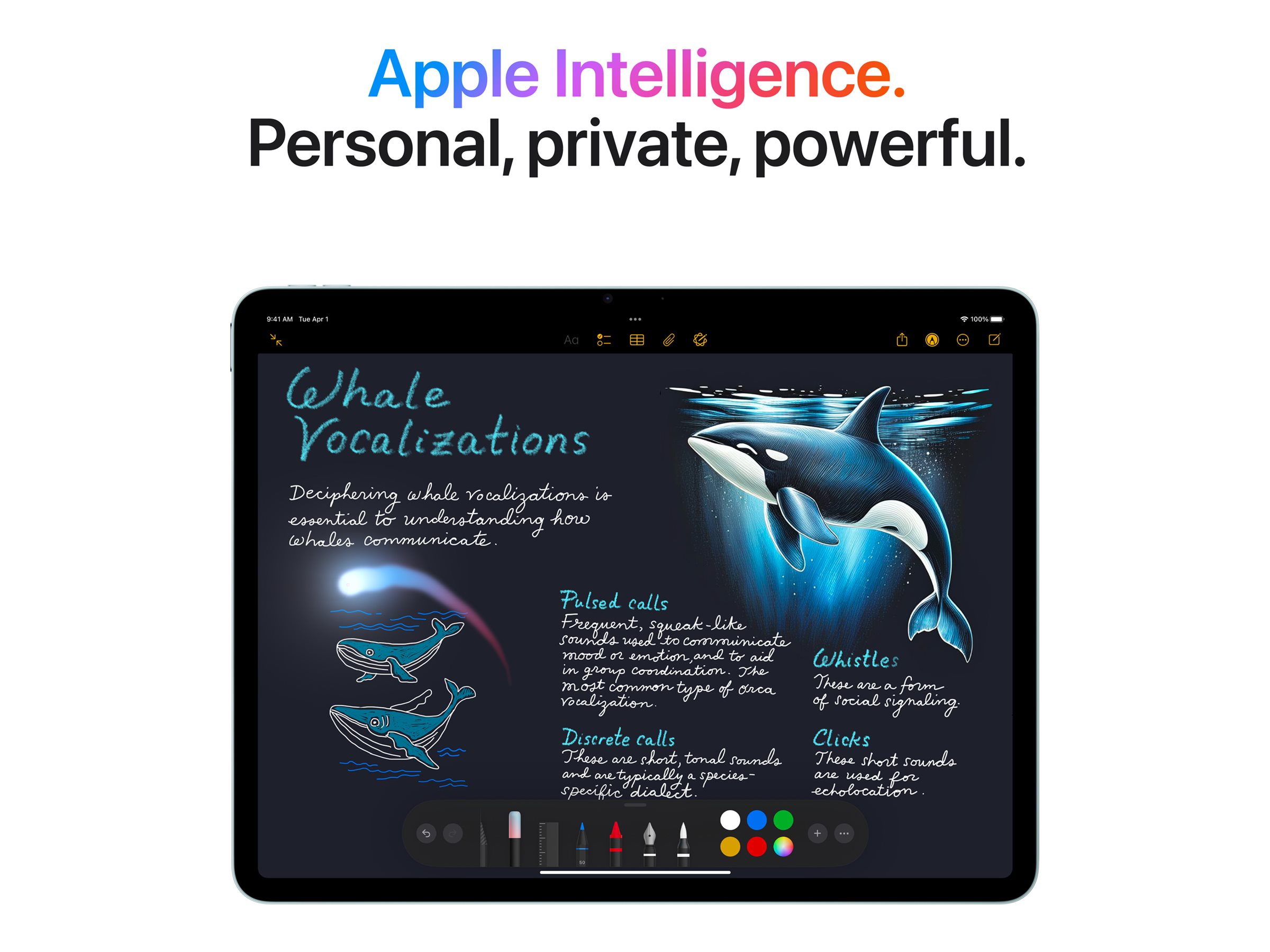 Apple iPad Air Wi-Fi + Cellular 11 " Blue IPS 2360 x 1640 pixels Apple M3 8 GB 512 GB 3G 4G 5G Wi-Fi Front camera 12 MP Rear camera Bluetooth 5.3 iPadOS USB-C charging cable - Image 5