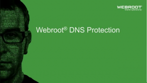 Webroot DNS Protection with GSM Console 2 year(s) License quantity 1-9 user(s)