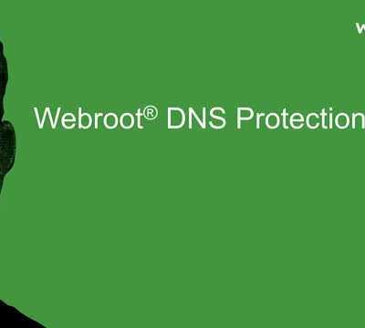 Webroot DNS Protection with GSM Console 2 year(s) License quantity 1-9 user(s)