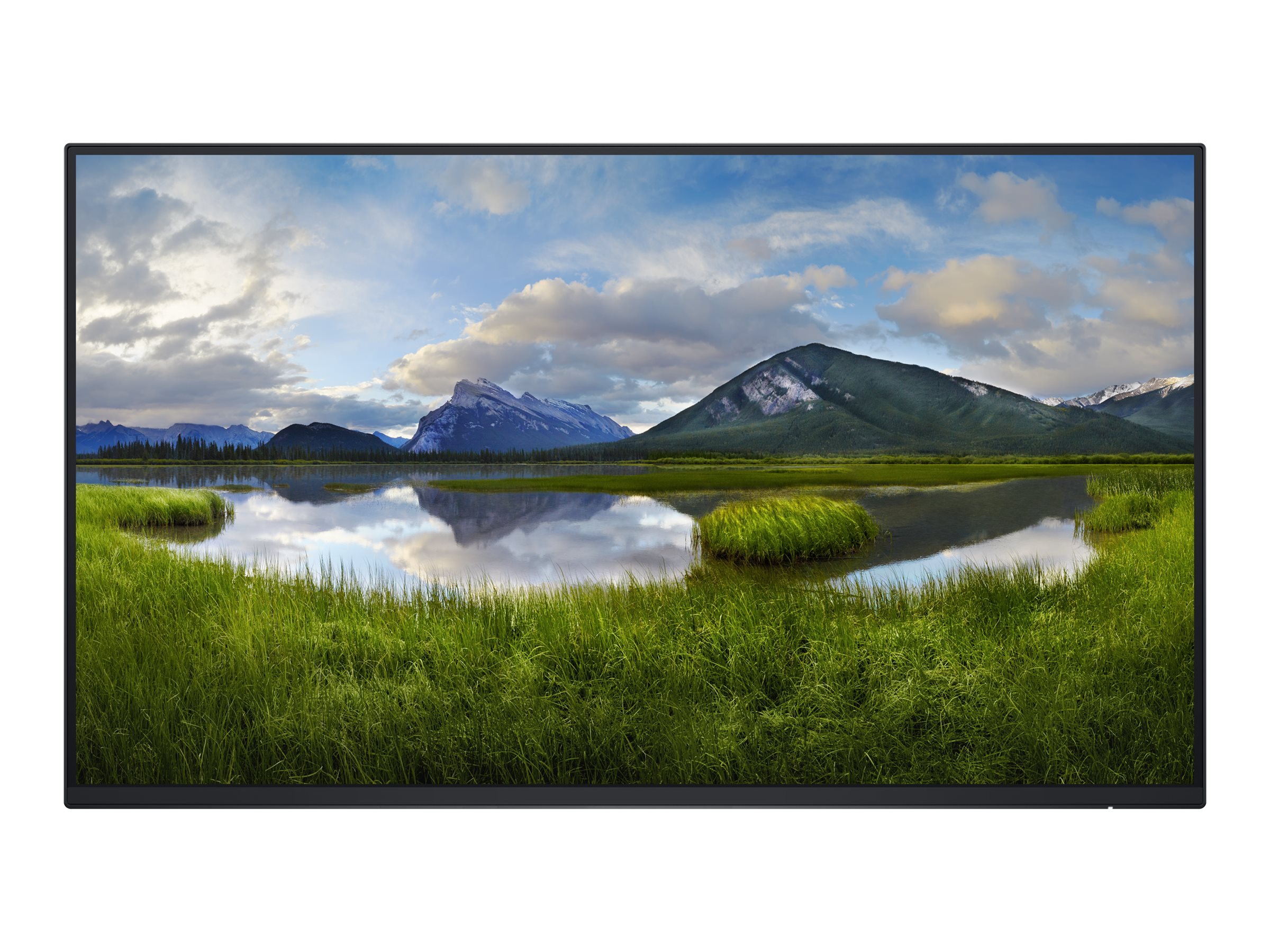 Dell Monitor Without Stand P2425H 24 " IPS 16:9 100 Hz 8 ms 1920 x 1080 pixels 250 cd/m² HDMI ports quantity 1 Black Warranty 36 month(s) - Image 3