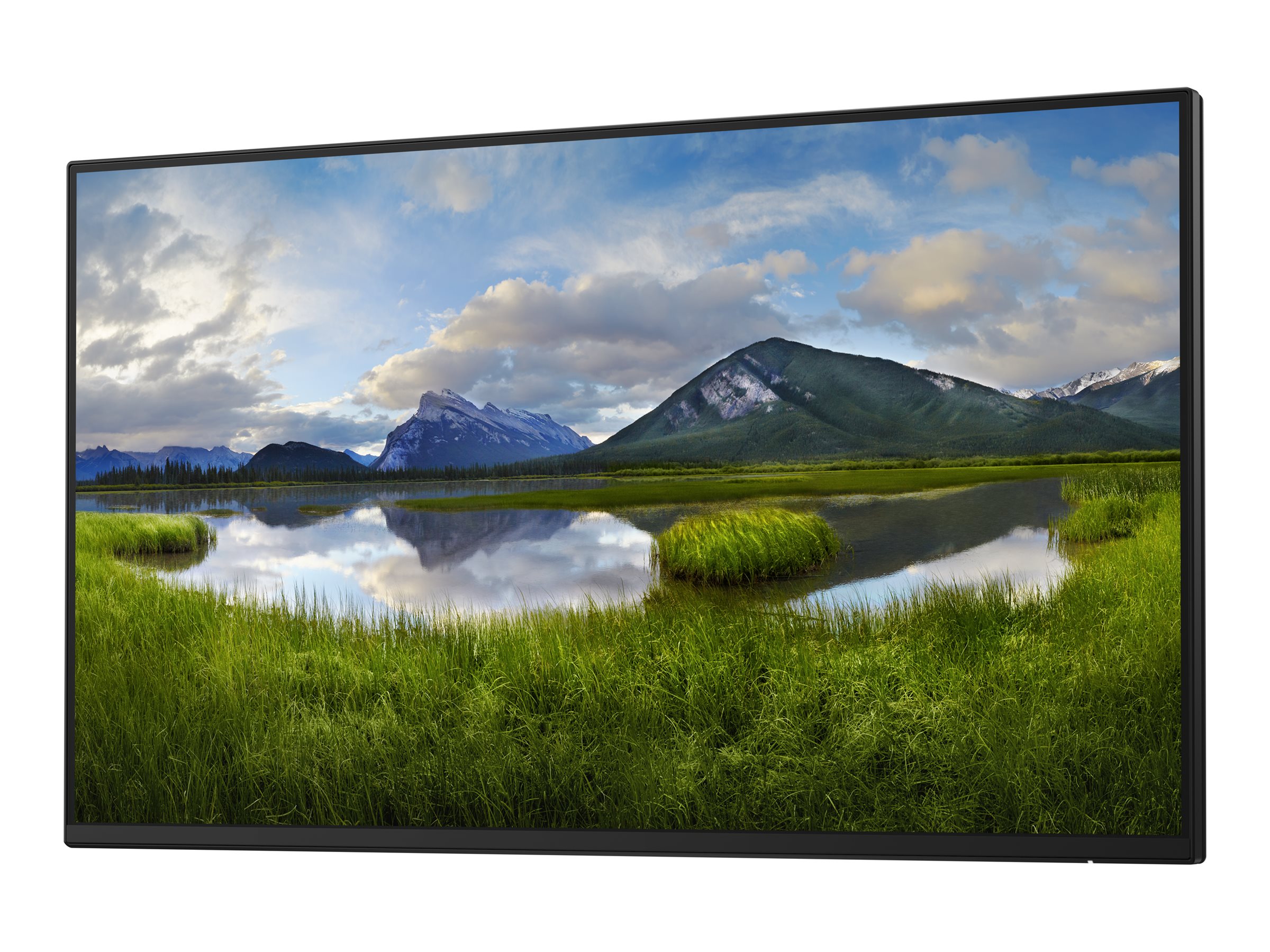 Dell Monitor Without Stand P2425H 24 " IPS 16:9 100 Hz 8 ms 1920 x 1080 pixels 250 cd/m² HDMI ports quantity 1 Black Warranty 36 month(s) - Image 5