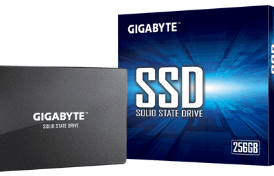 Gigabyte GP-GSTFS31256GTND 256 GB Solid-state drive interface SATA Read speed 520 MB/s Write speed 500 MB/s