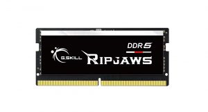 G.Skill Ripjaws DDR5 SO-DIMM 32 GB DDR5 5600 MHz PC/server Registered No ECC No