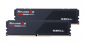 G.Skill Ripjaws S5 32 GB DDR5 5600 MHz PC/server Registered No ECC No